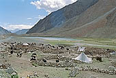 Ladakh - groups of nomadic along the road to Pangong Tso 